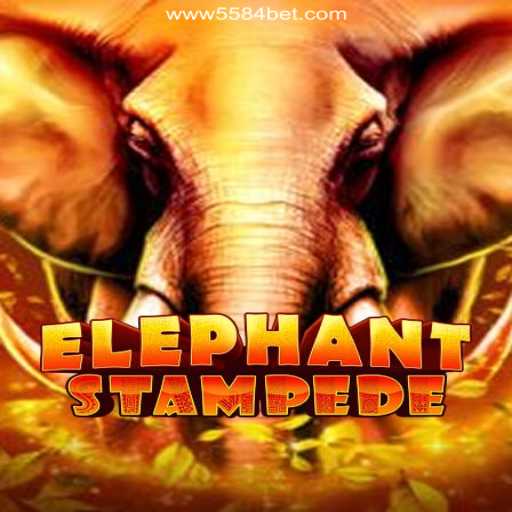 Exploring the Thrills of ElephantStampede on 5584bet.com